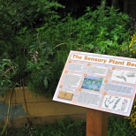 Panel in school garden with brass rubbing plaque