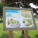 Wildlife panel with habitat illustrations